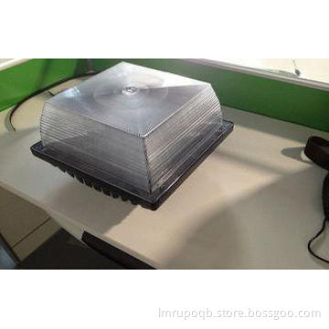 High Power Energy Saving Led Outdoor Canopy Lights , 60w An